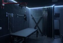 bdsm-studio
