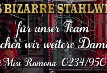 domina-ausbildung-im-dominastudio-jobangebote